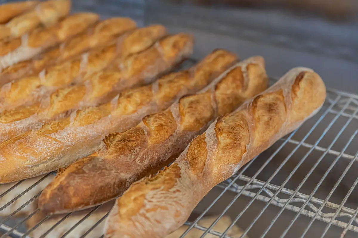 Golden French baguettes cooling on a rack