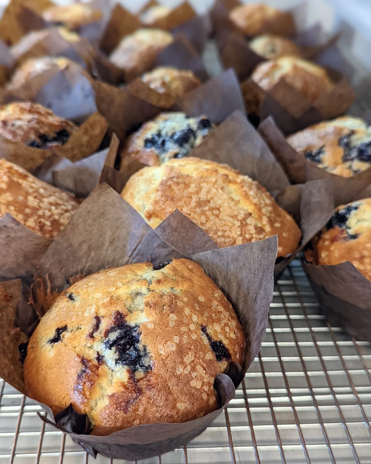 Blueberry muffins in parchment wrappers