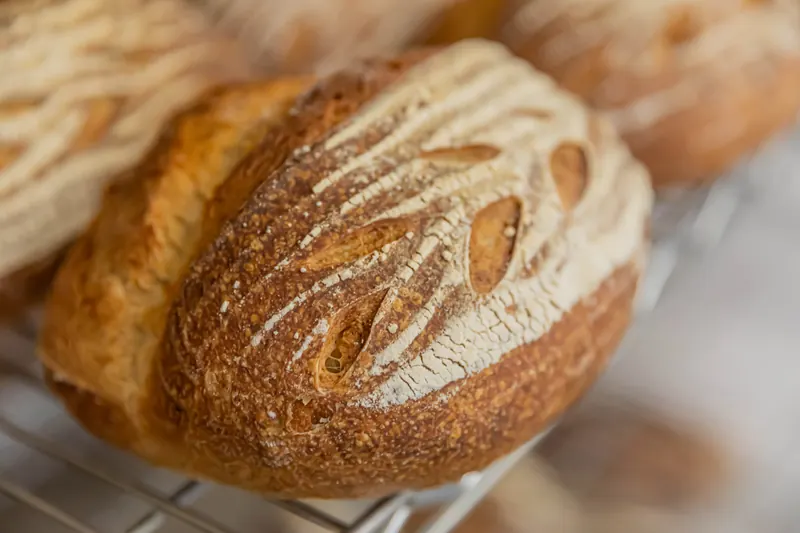 Scored sourdough loaves fresh from the oven, cooling on a rack at Blue Loon Bakery