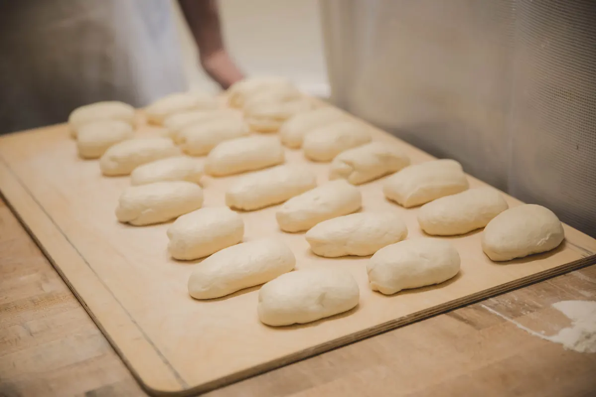 Rows of shaped dough rolls proofing on a wooden board